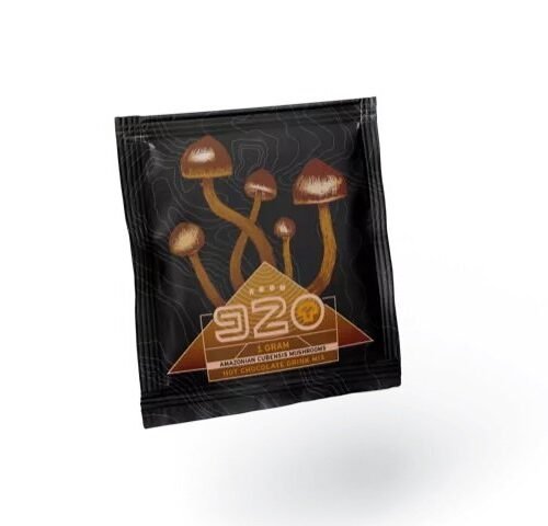 Room 920 Hot Chocolate – 1000mg - FunGuyz Canada