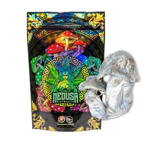 APE Albino Penis Envy Magic Mushrooms | Medusa Extracts - FunGuyz Canada
