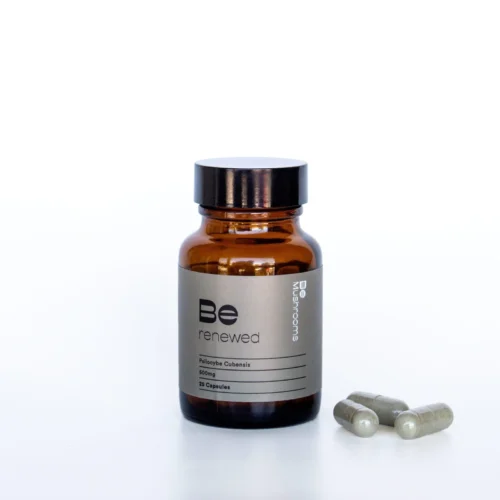 Be Renewed Macrodose Psilocybin Capsules (25 Capsules) - FunGuyz Canada