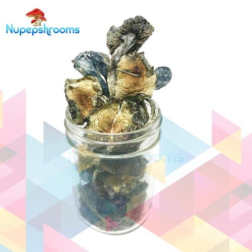 Bulk Blue Meanie Magic Mushrooms - FunGuyz Canada