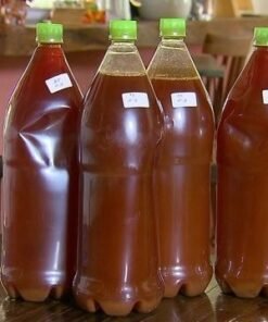 Ayahuasca Tea For Sale Canada - FunGuyz Canada