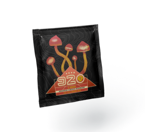 Room 920 Iced Tea – 1000mg Amazonian Cubensis - FunGuyz Canada