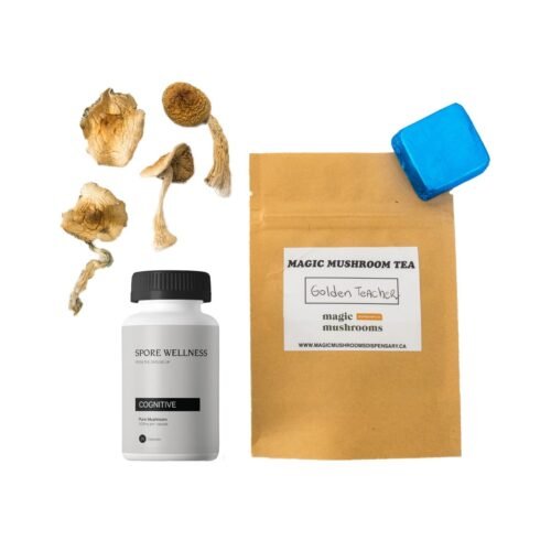 First Timer Magic Mushroom Kit: Psych 101 – An Introduction to Psychedelics - FunGuyz Canada