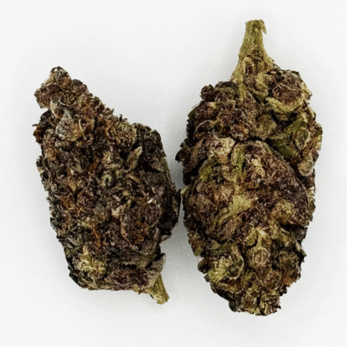 Lemon Haze AAAA+ Sativa Runtz