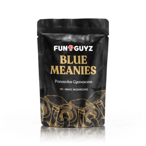 Blue Goba Magic Mushroom (Premium)