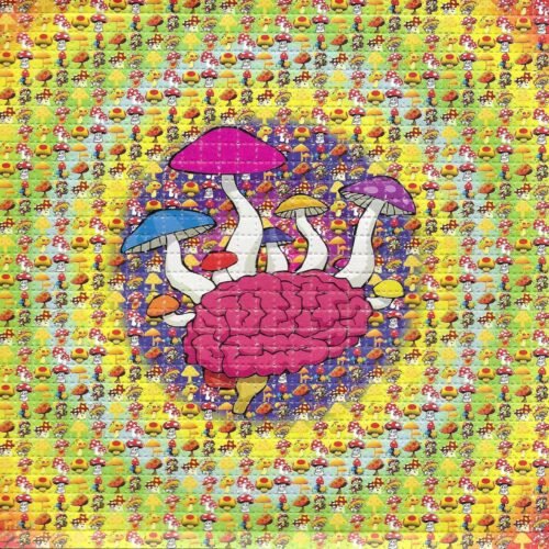 Buy LSD-25 Tabs Mushroom Brain - FunGuyz Canada