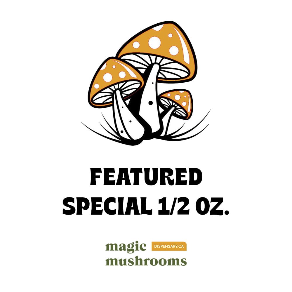 Featured Special ‘Half Oz’ Magic Mushrooms (14 grams) - FunGuyz Canada