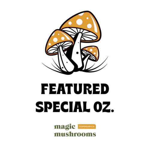 Featured Special ‘Oz’ Magic Mushrooms (28 grams) - FunGuyz Canada