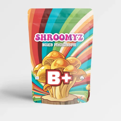 B+ - FunGuyz Canada