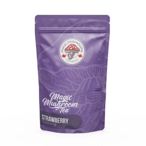 Strawberry Tea | 3000mg | Magic Mushrooms Canada - FunGuyz Canada