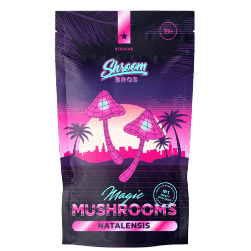 Natalensis Magic Mushroom - FunGuyz Canada