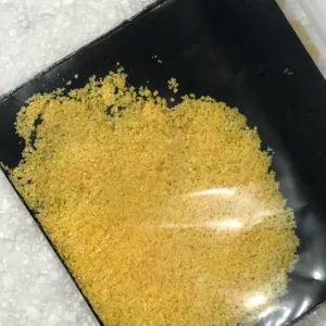 N,N-DMT - FunGuyz Canada