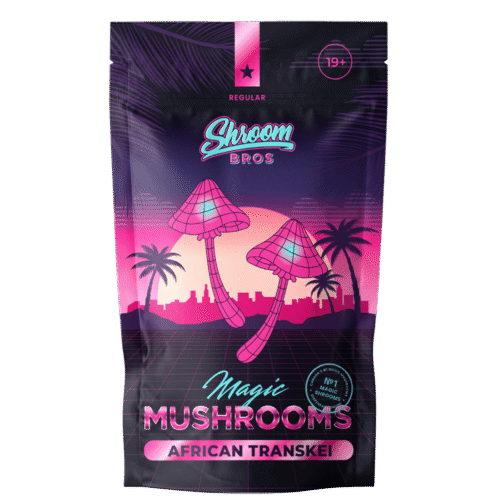 African Transkei Magic Mushroom - FunGuyz Canada