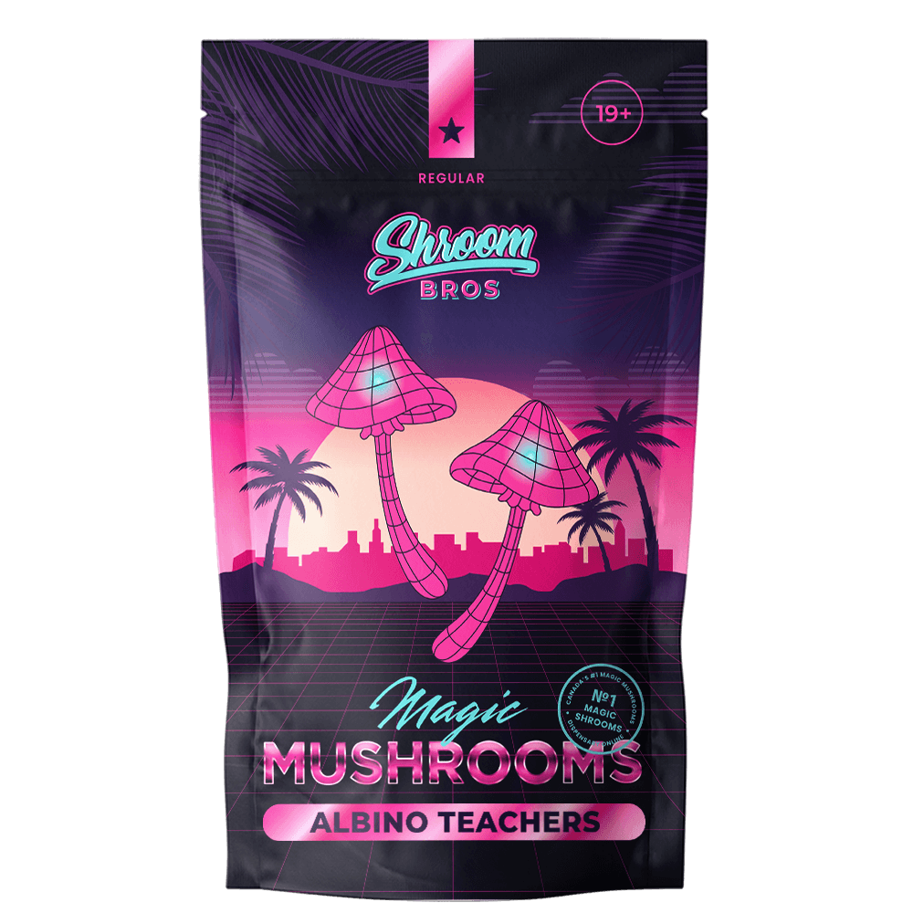 Albino Teachers Magic Mushroom - FunGuyz Canada