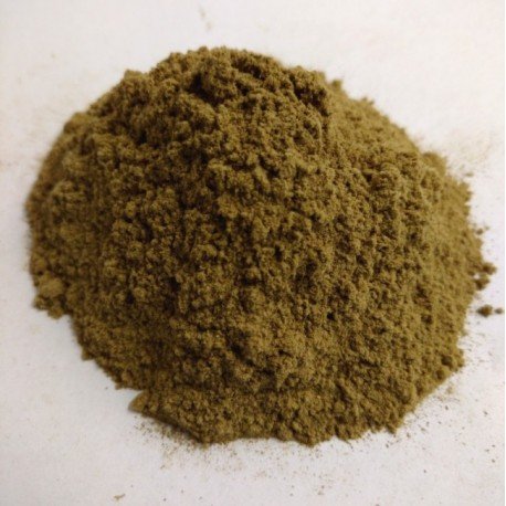 Salvia Powder - FunGuyz Canada