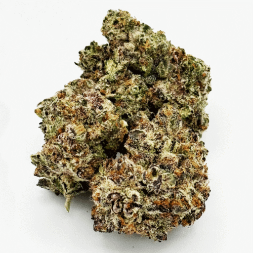 Wedding Cake AAAA+ Hybrid