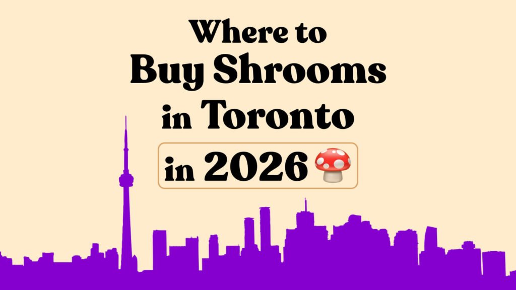 Where to Buy Magic Mushrooms in Toronto in 2026? The Guide